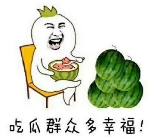 娱乐吃瓜喵喵,揭秘娱乐圈那些不为人知的幕后故事